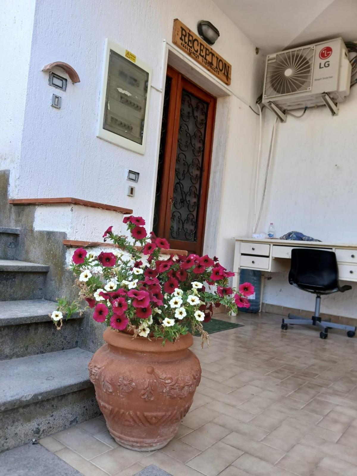 Hotel Dory Albinia Extérieur photo